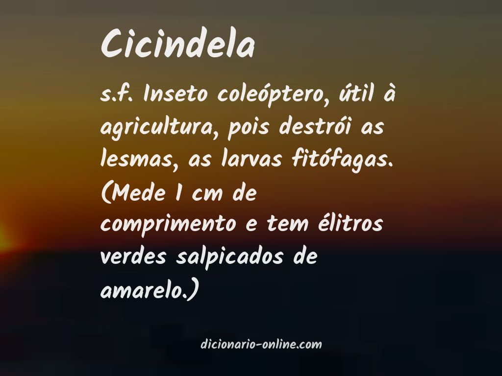 Significado de cicindela