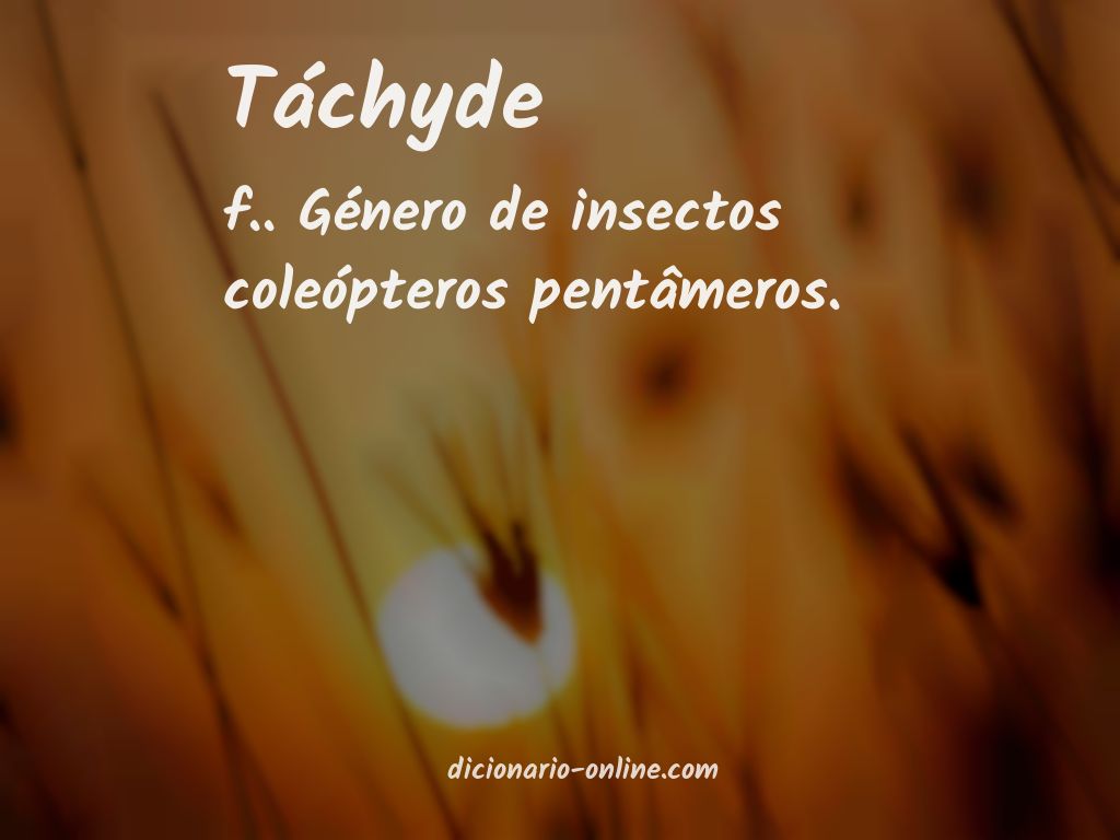 Significado de táchyde