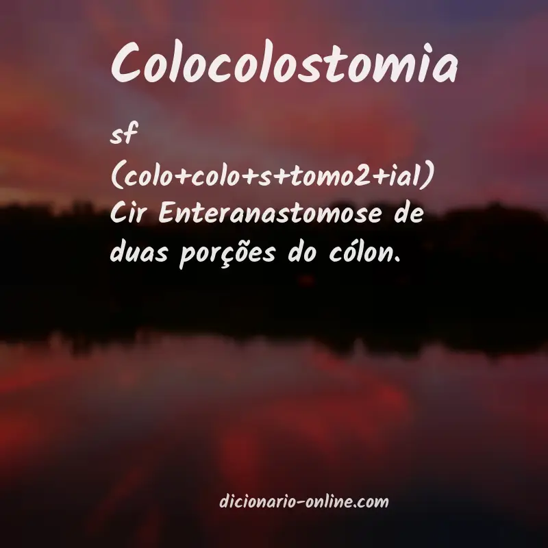 Significado de colocolostomia