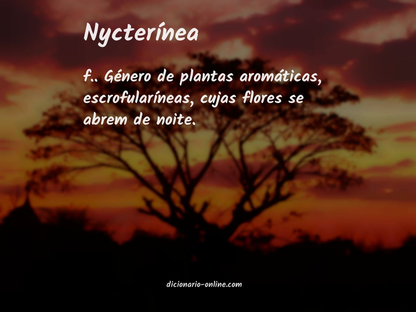 Significado de nycterínea