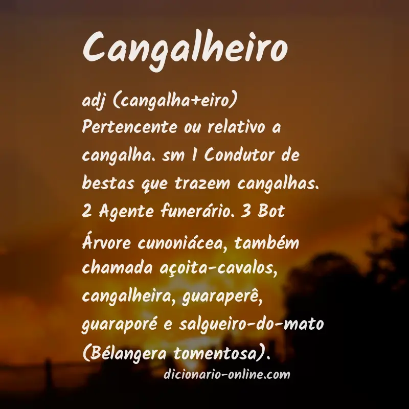 Significado de cangalheiro