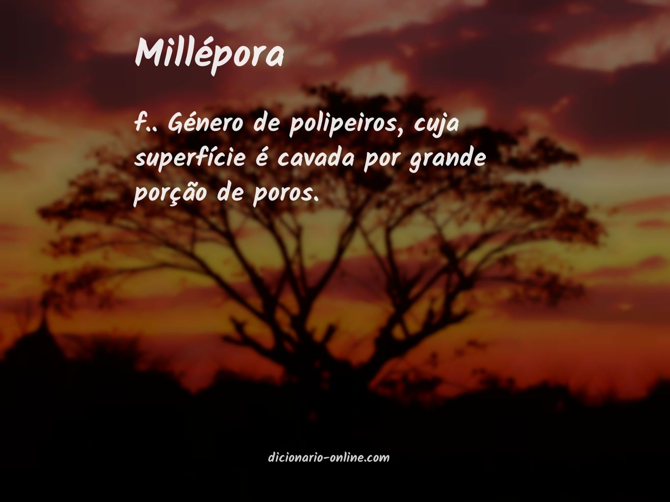 Significado de millépora