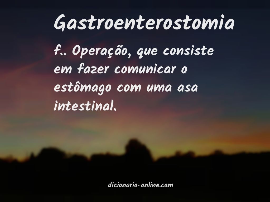 Significado de gastroenterostomia