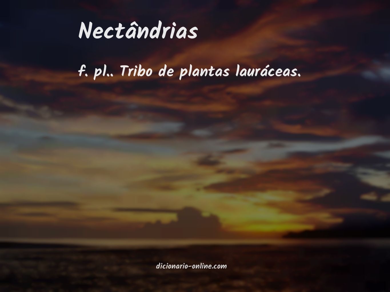 Significado de nectândrias