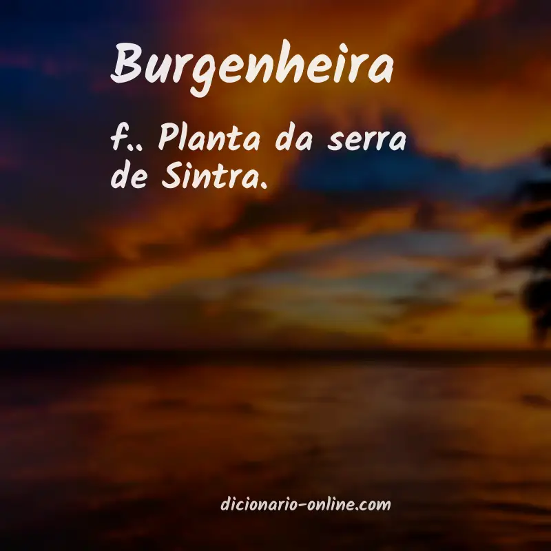 Significado de burgenheira