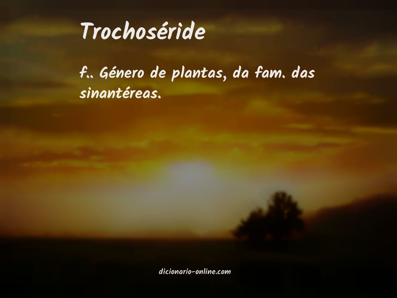 Significado de trochoséride