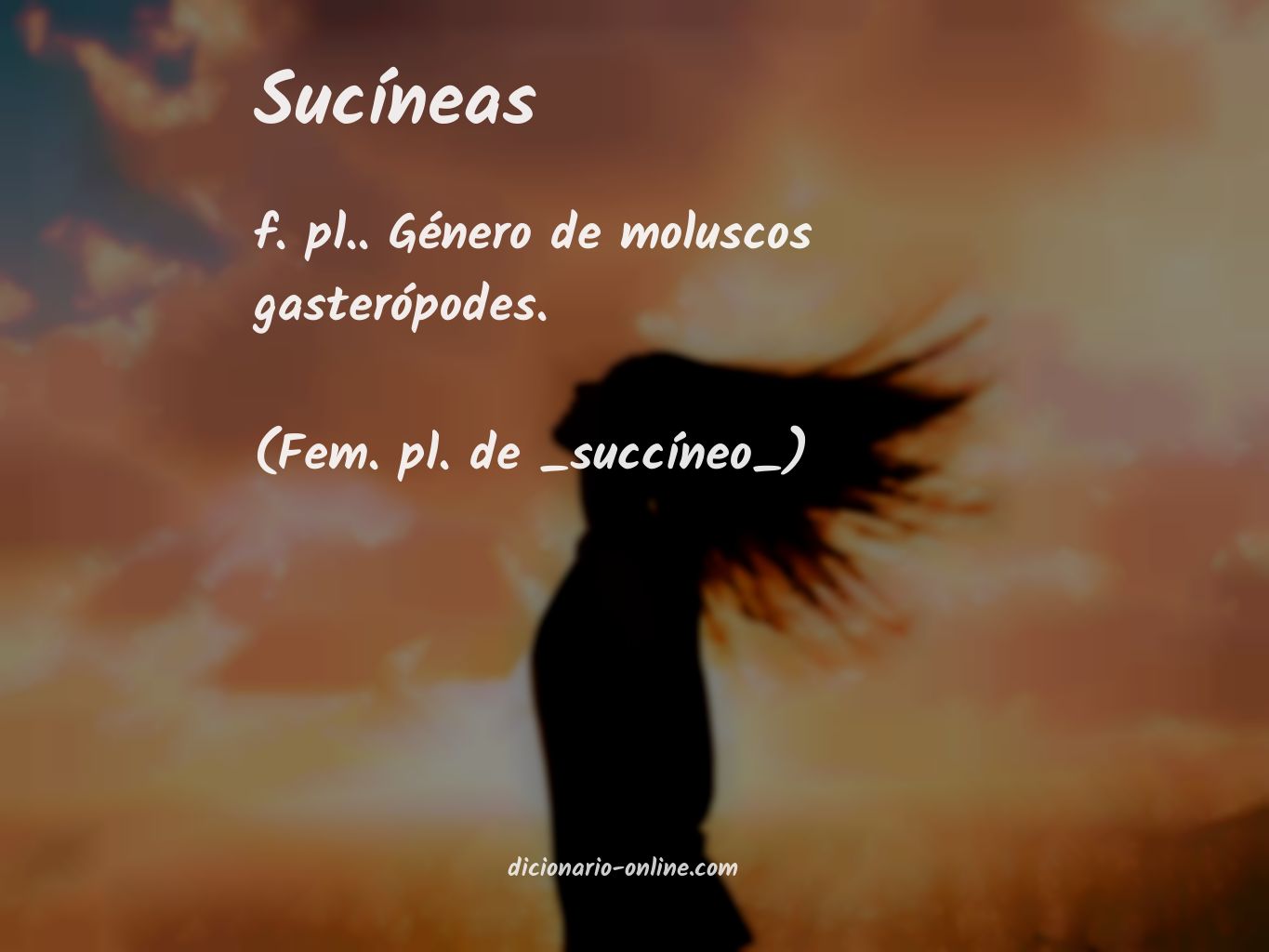 Significado de sucíneas