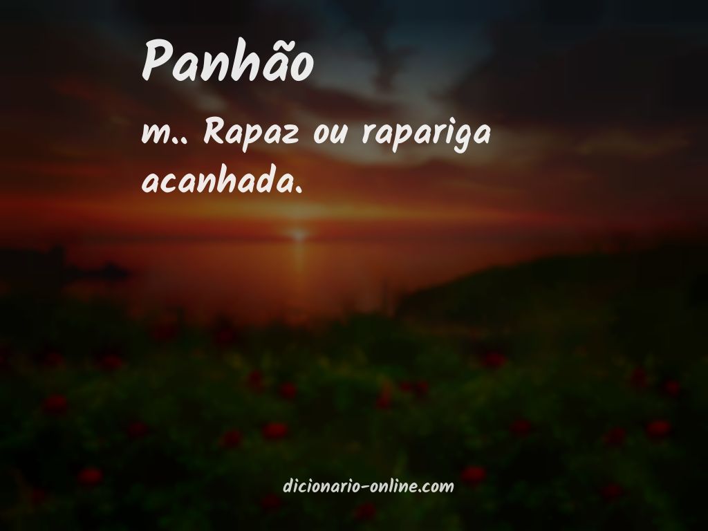 Significado de panhão