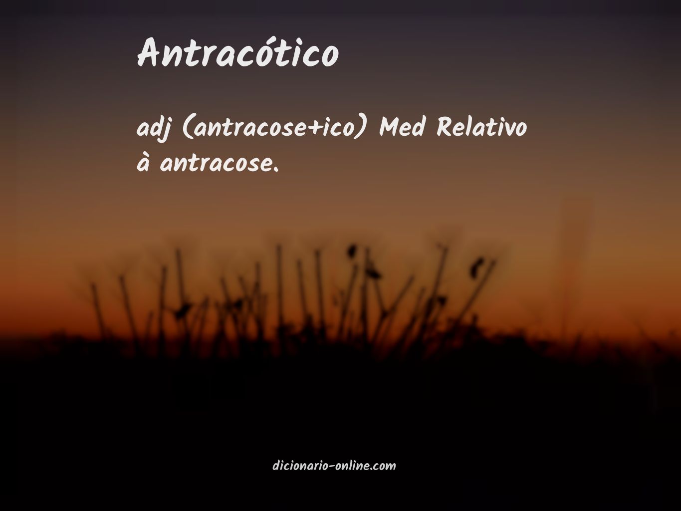 Significado de antracótico