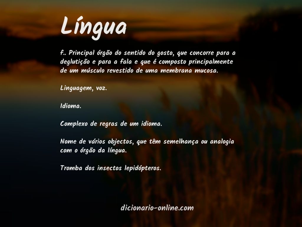 Significado de língua