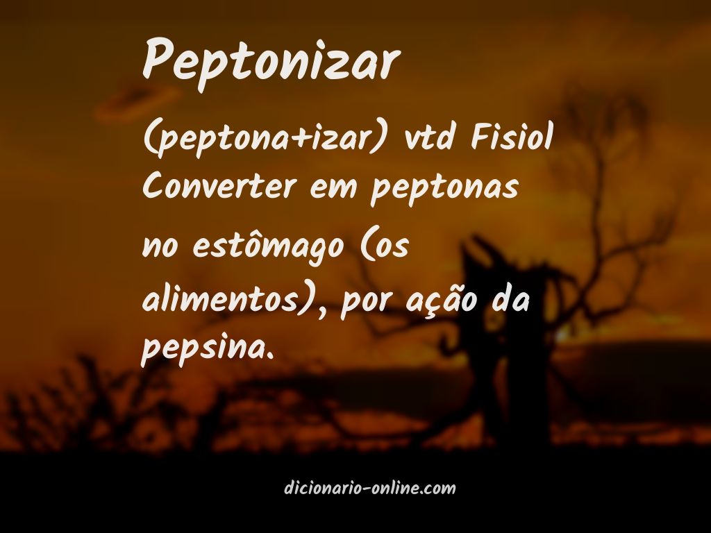 Significado de peptonizar