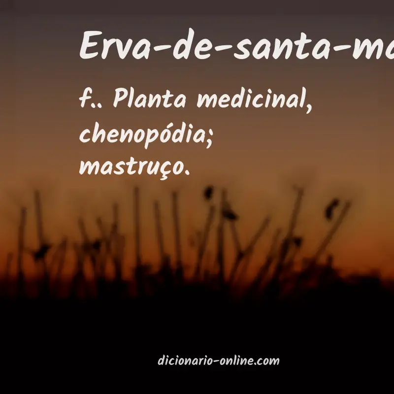 Significado de erva-de-santa-maria