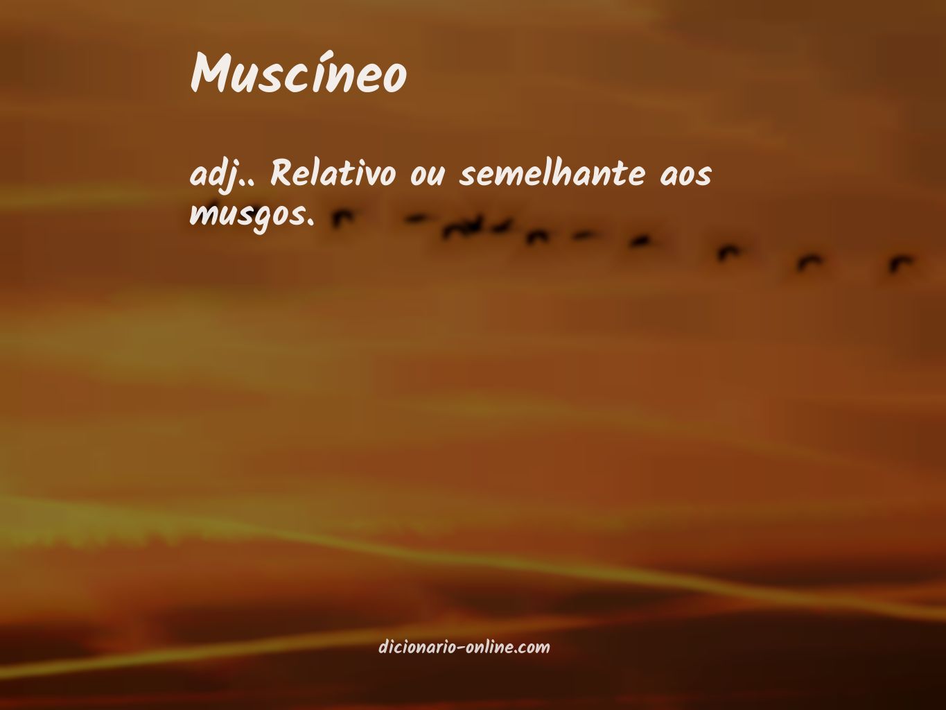 Significado de muscíneo