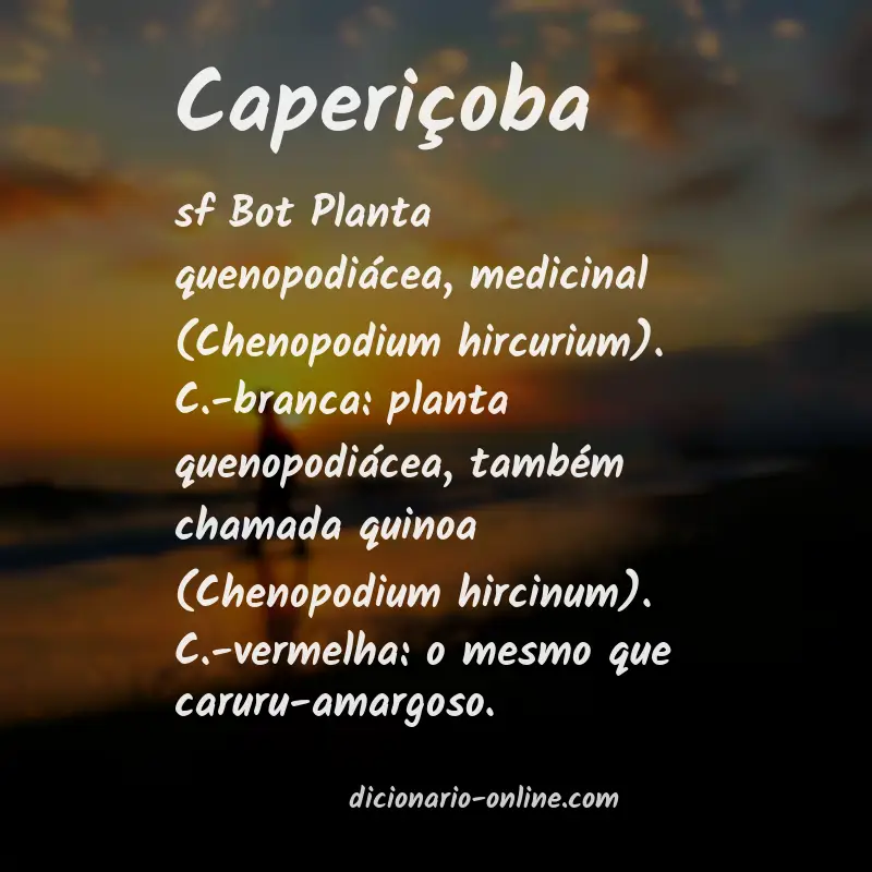 Significado de caperiçoba