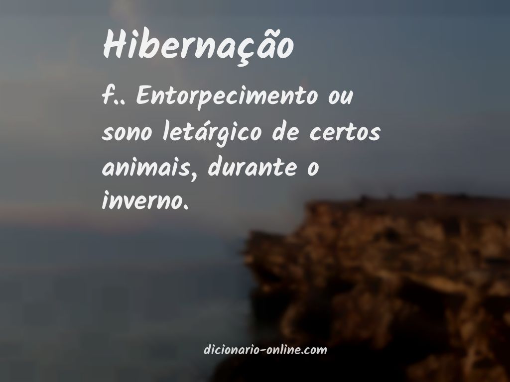 Significado de hibernação