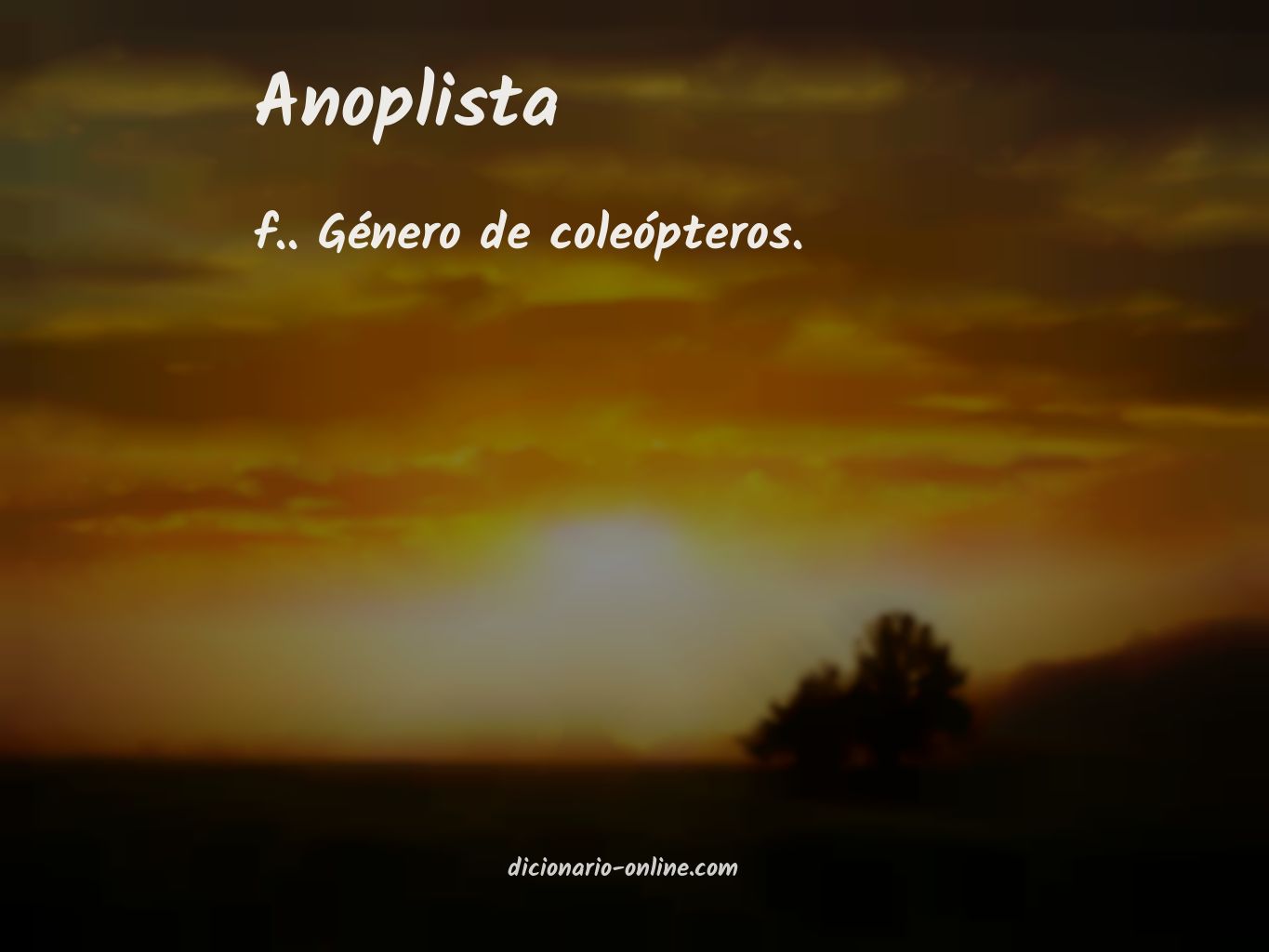 Significado de anoplista