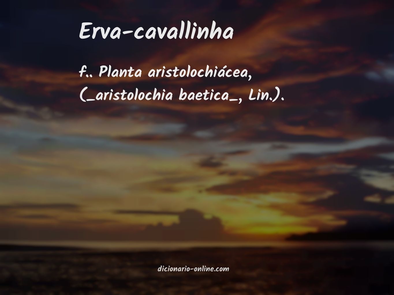 Significado de erva-cavallinha