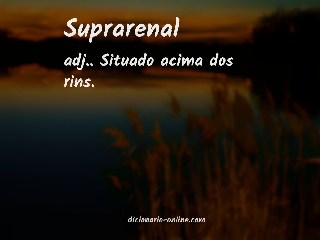 Significado de suprarenal