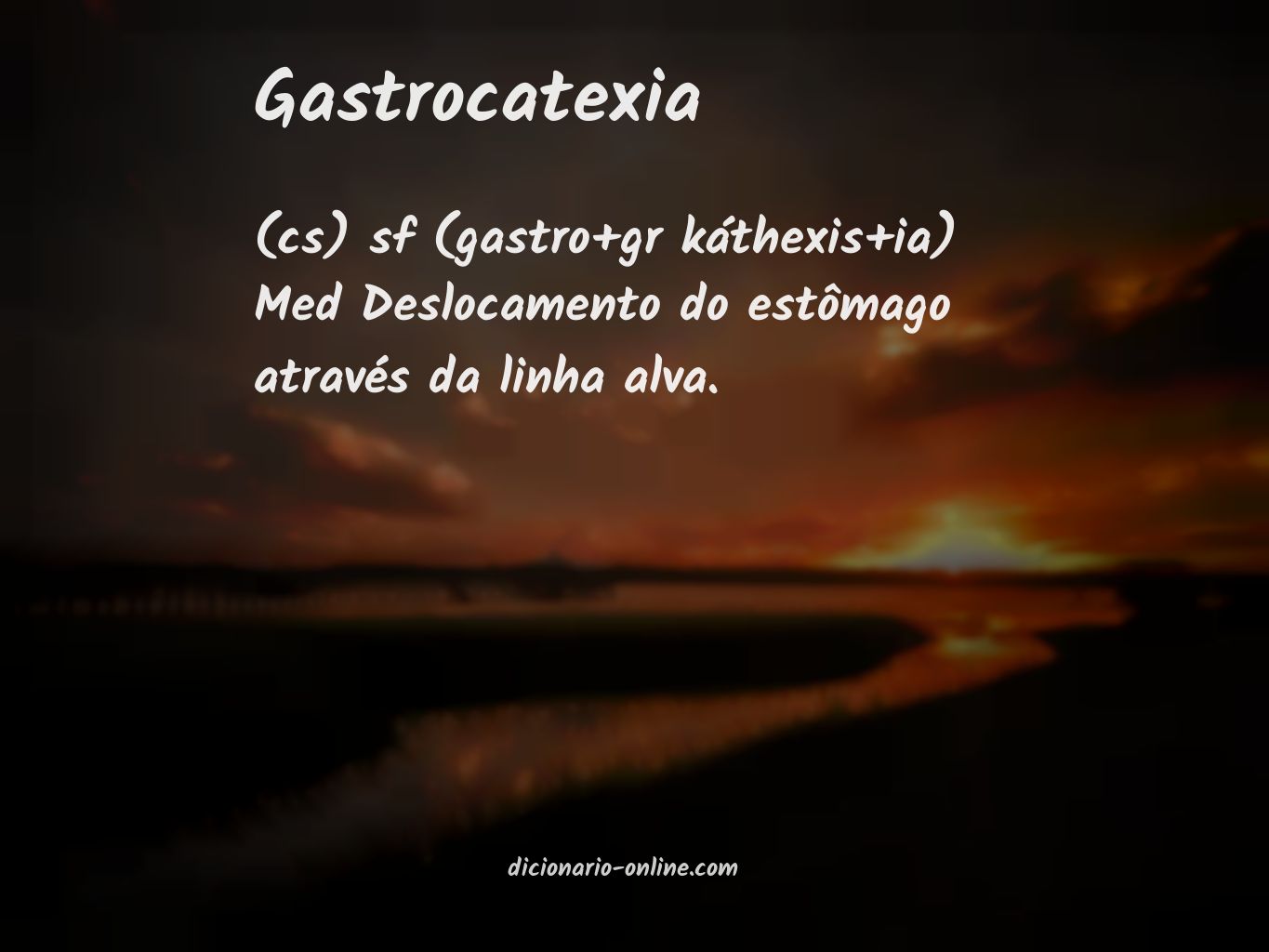 Significado de gastrocatexia