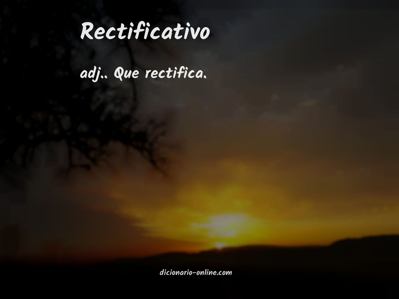 Significado de rectificativo