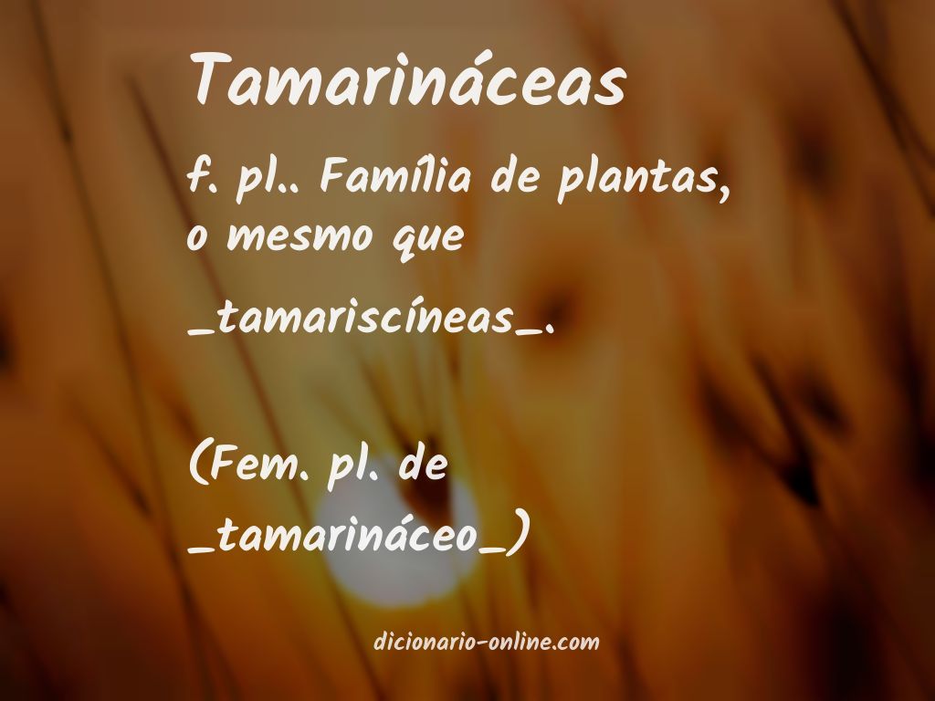 Significado de tamarináceas