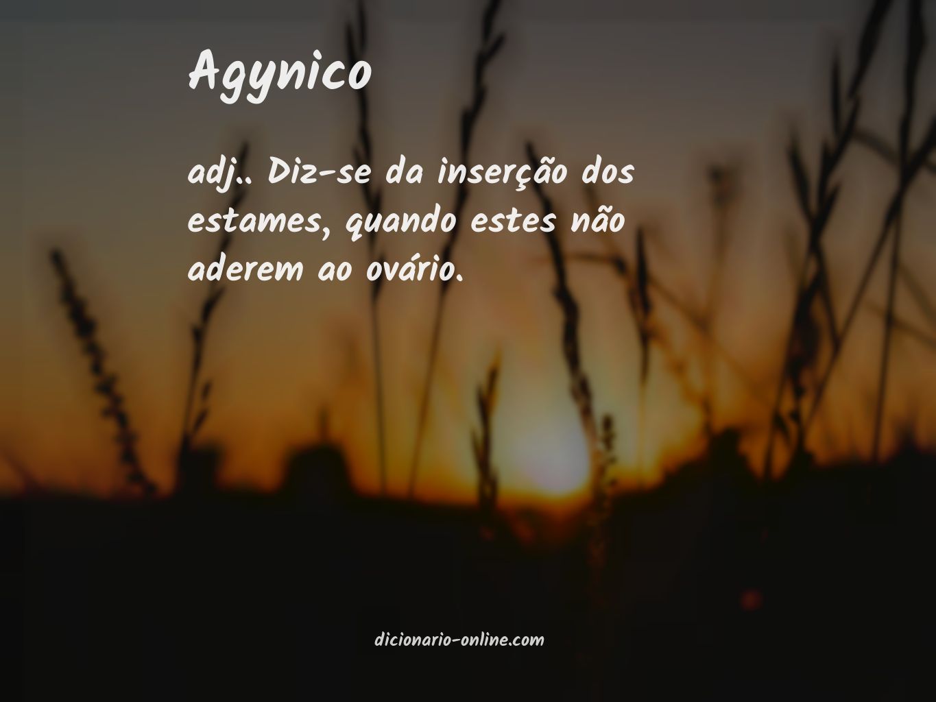 Significado de agynico