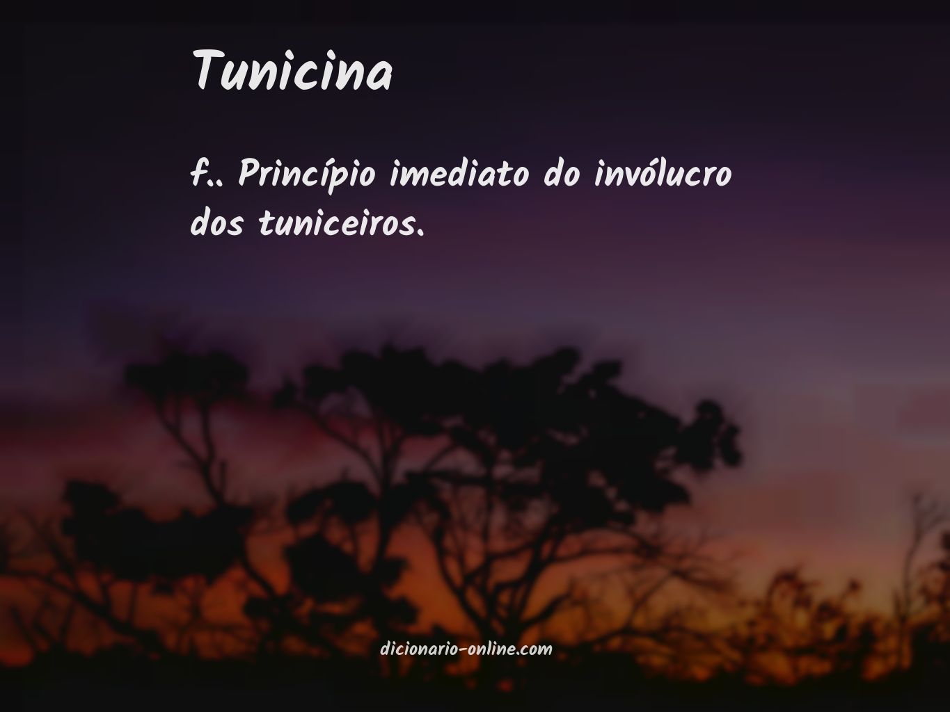 Significado de tunicina