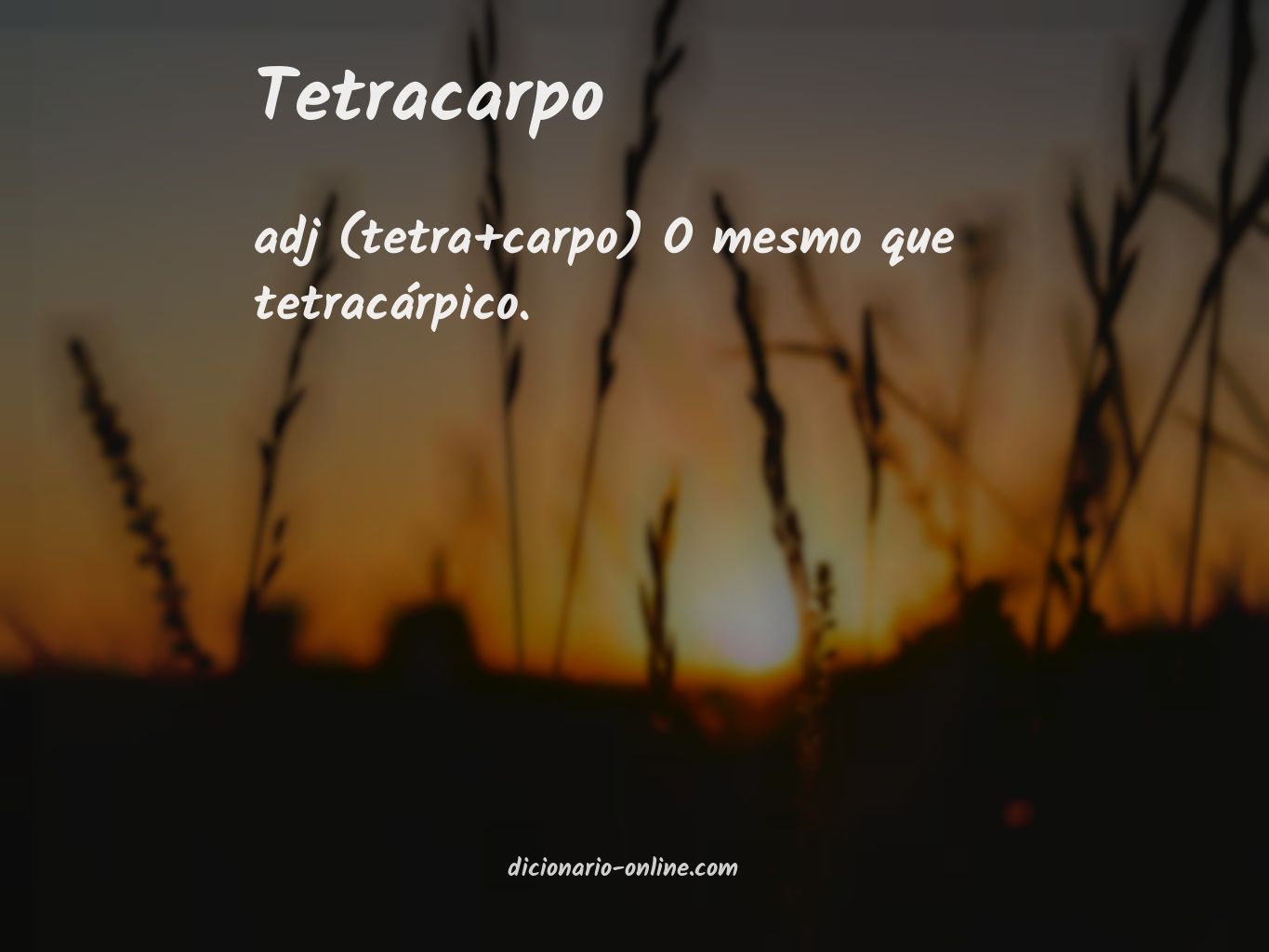 Significado de tetracarpo