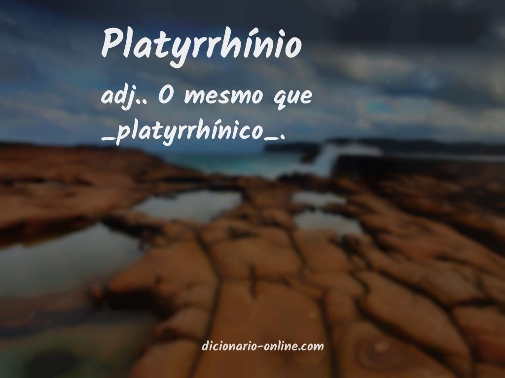 Significado de platyrrhínio