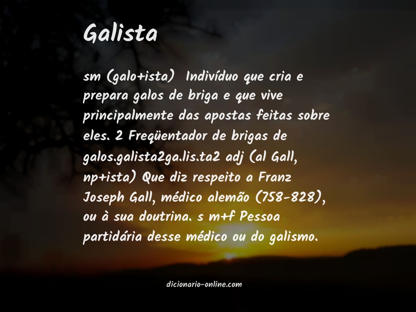 Significado de galista