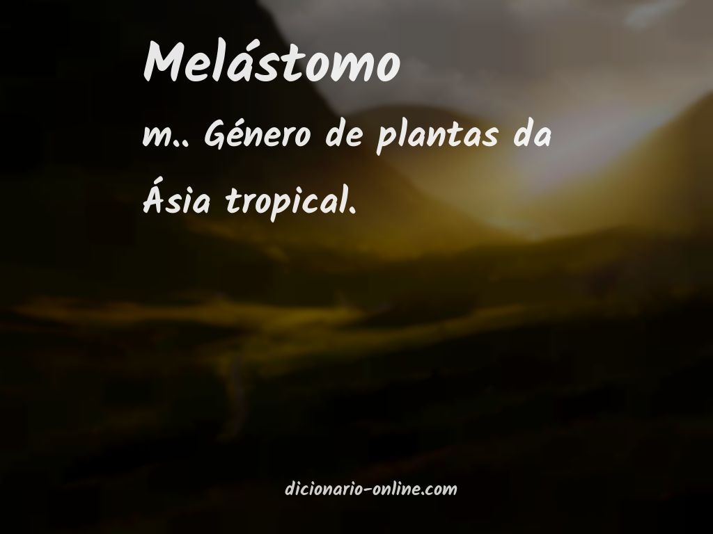 Significado de melástomo