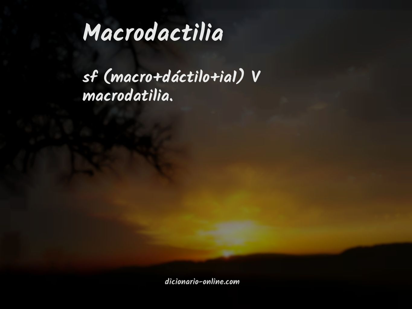 Significado de macrodactilia