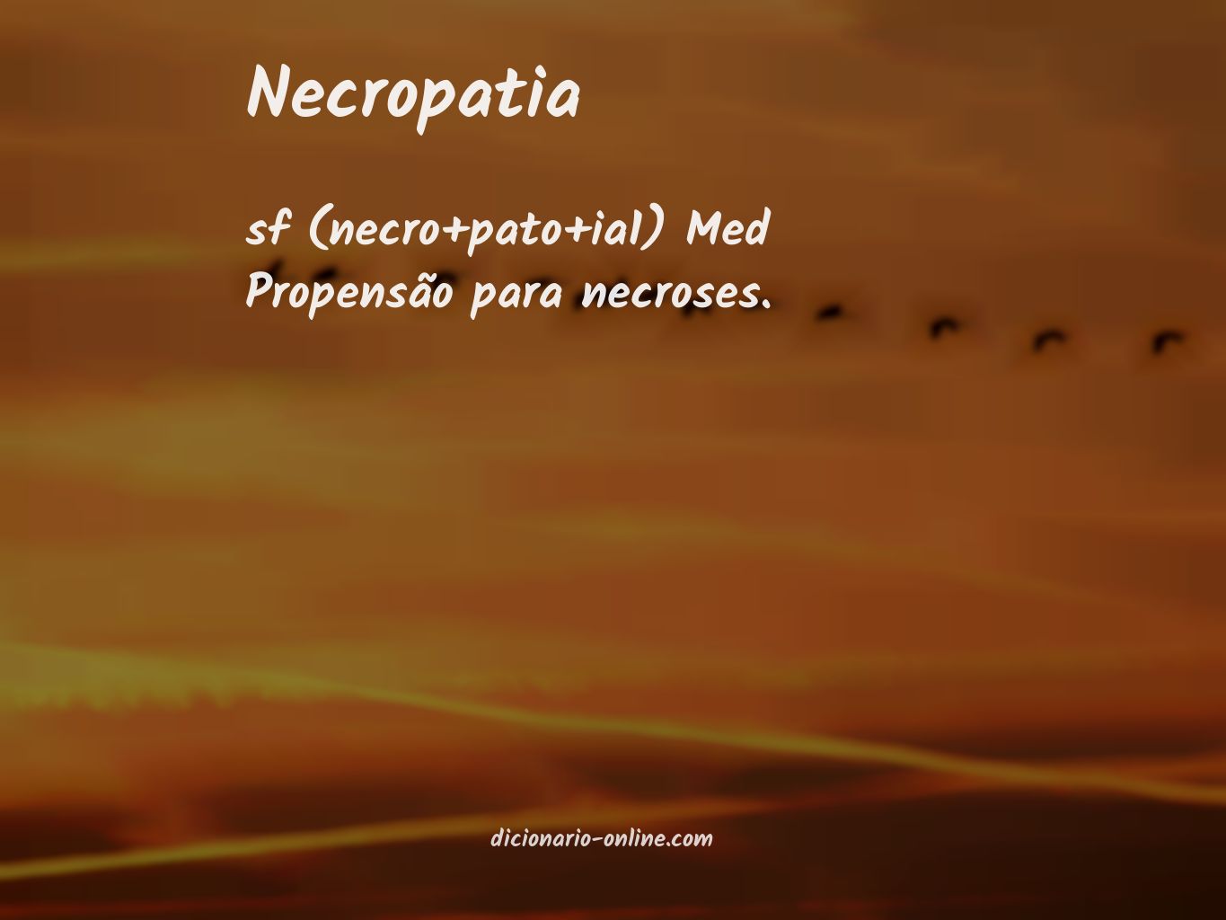 Significado de necropatia