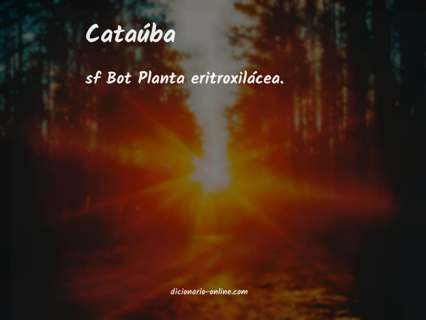 Significado de cataúba