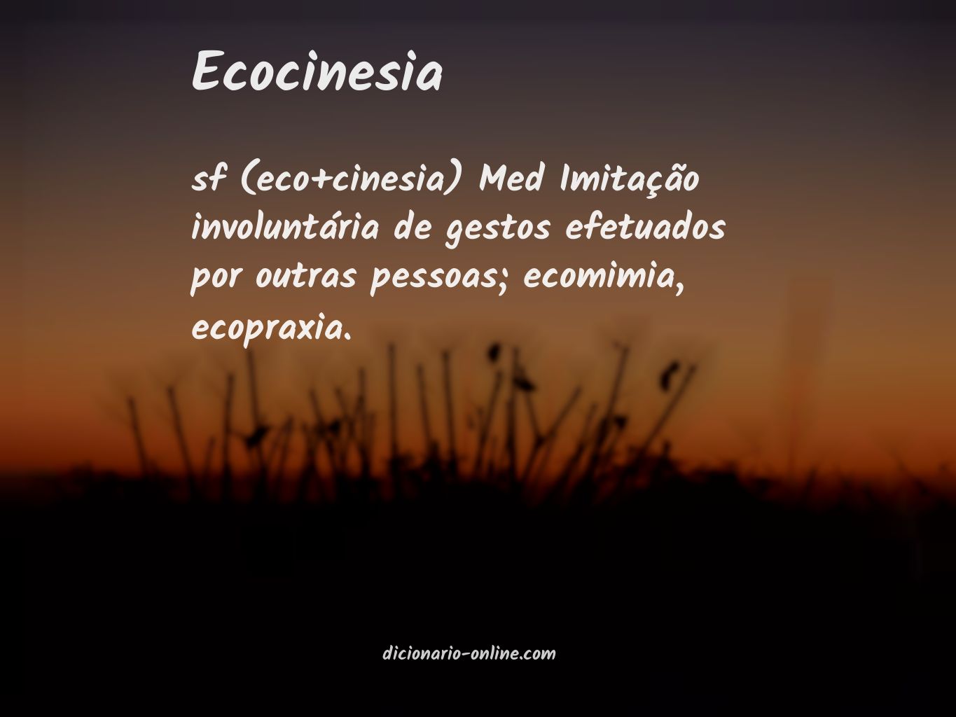 Significado de ecocinesia