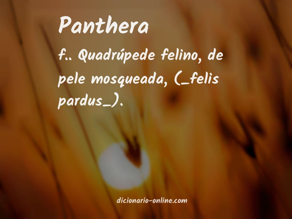 Significado de panthera