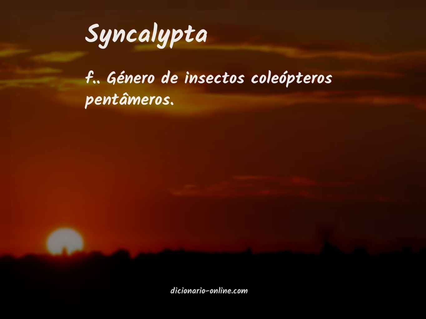 Significado de syncalypta
