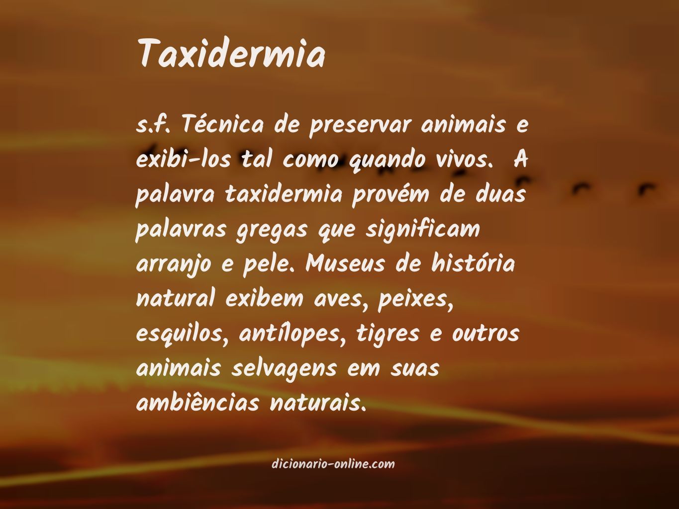 Significado de taxidermia