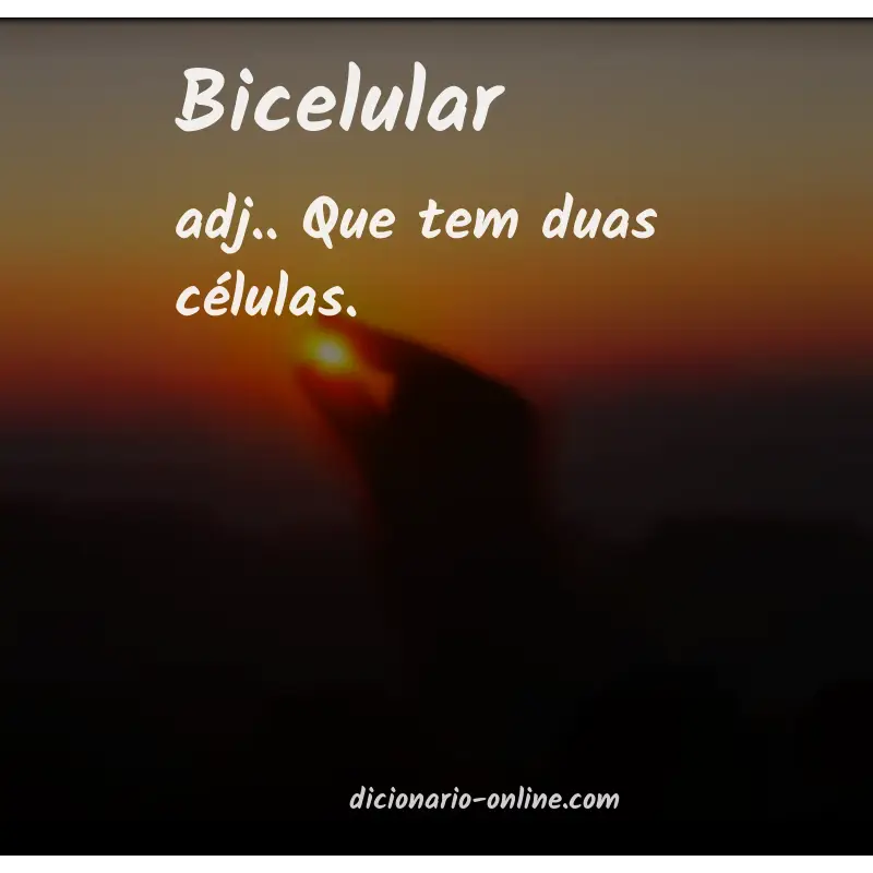 Significado de bicelular