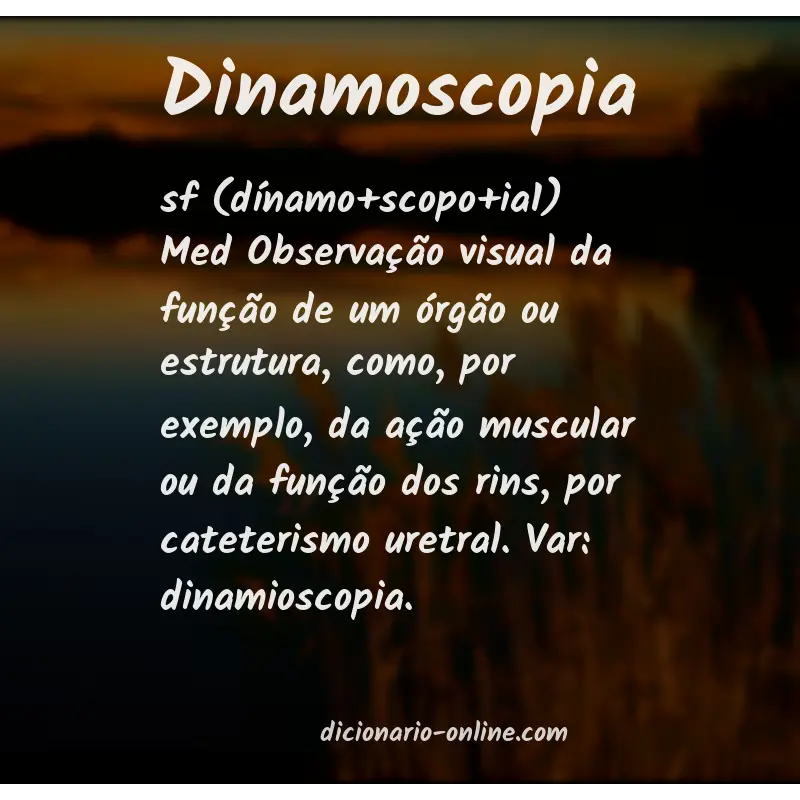 Significado de dinamoscopia