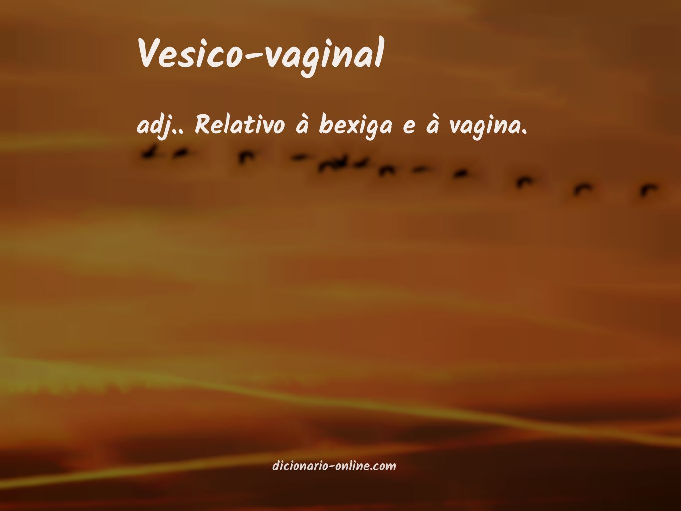 Significado de vesico-vaginal