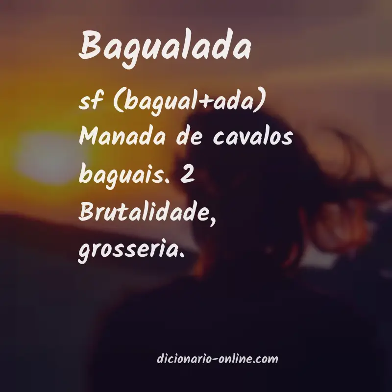Significado de bagualada