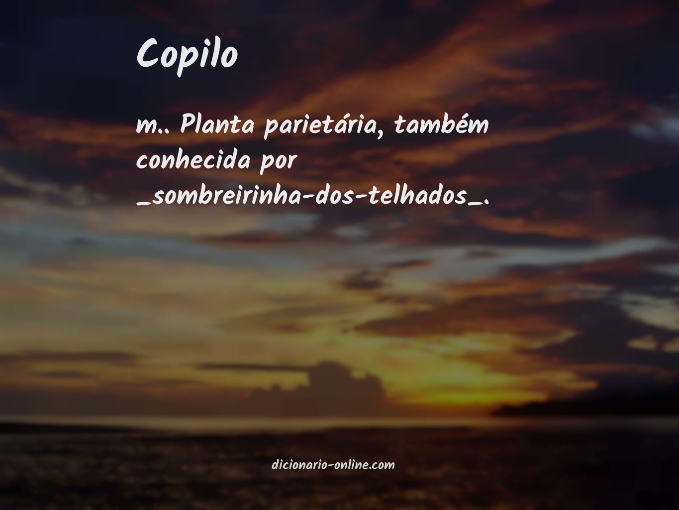 Significado de copilo