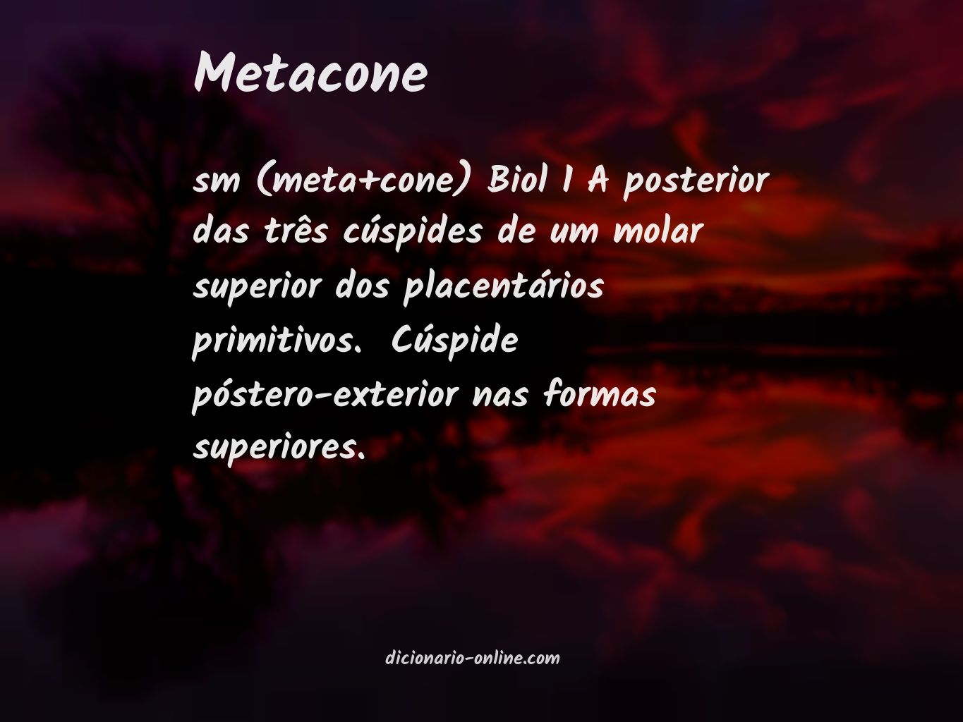 Significado de metacone