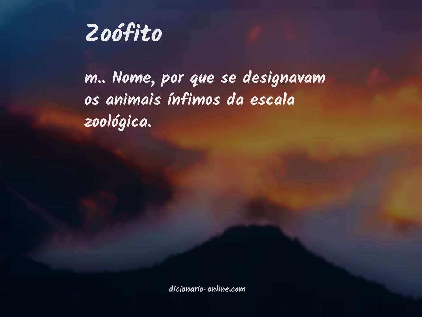 Significado de zoófito