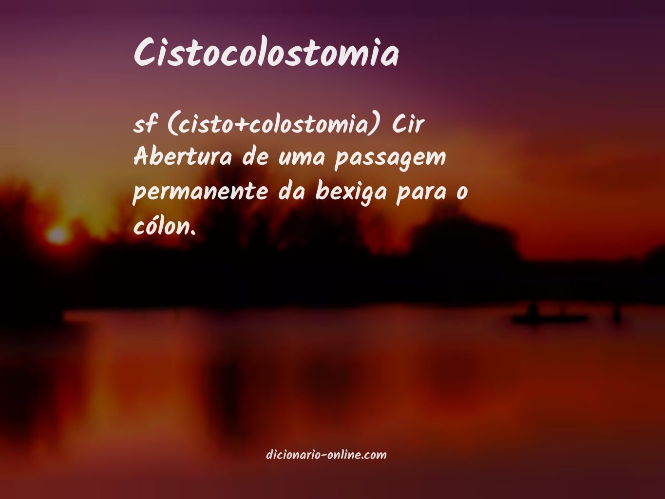 Significado de cistocolostomia