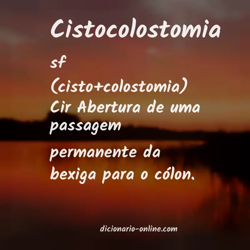 Significado de cistocolostomia