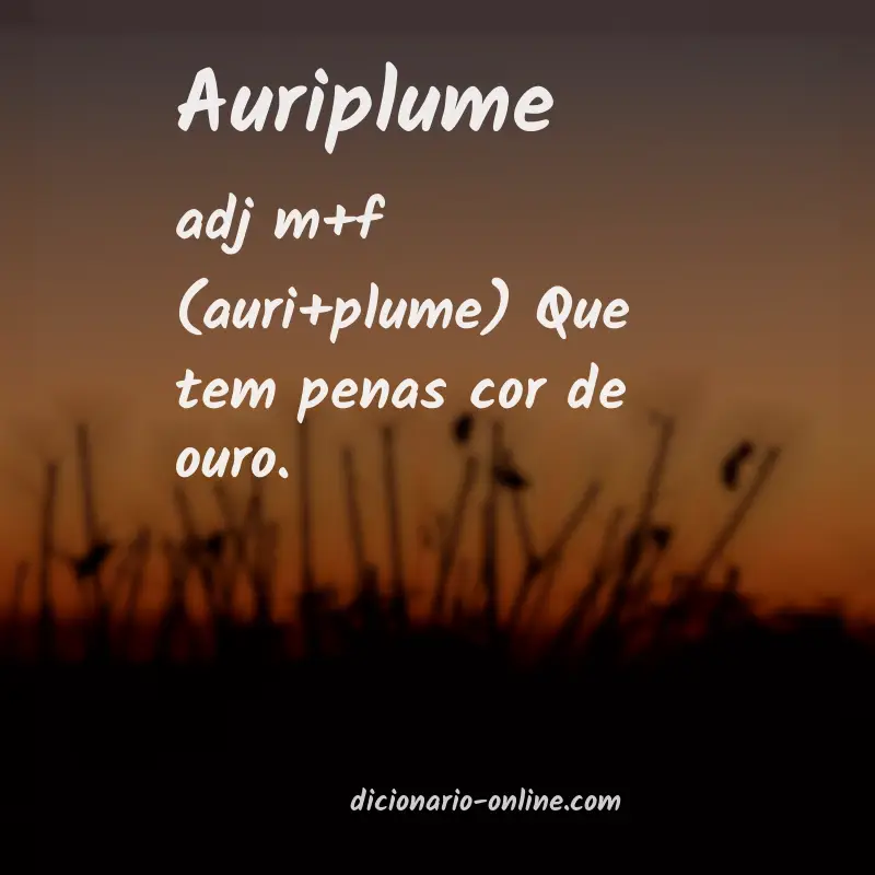 Significado de auriplume