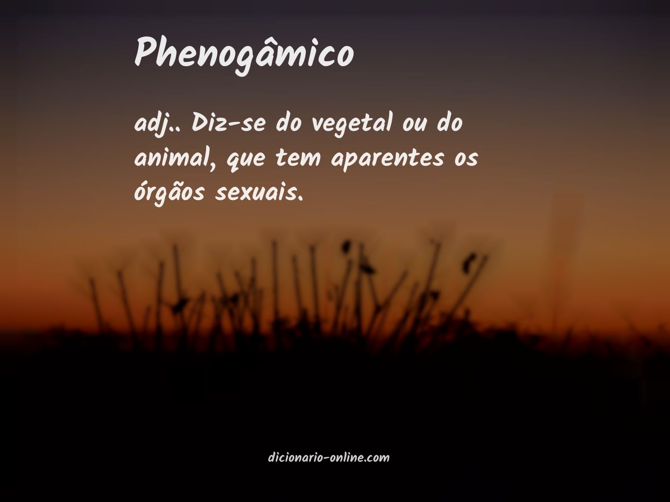 Significado de phenogâmico