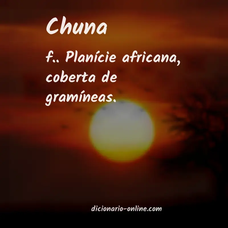 Significado de chuna